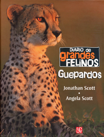 Diario de grandes felinos-sd-02-6071601703